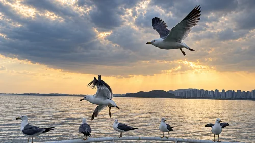 인천 세 섬 해안 여행照片4