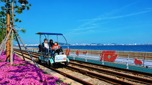 仁川海岸与夜景之旅照片5