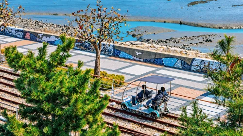 仁川海岸与夜景之旅照片6